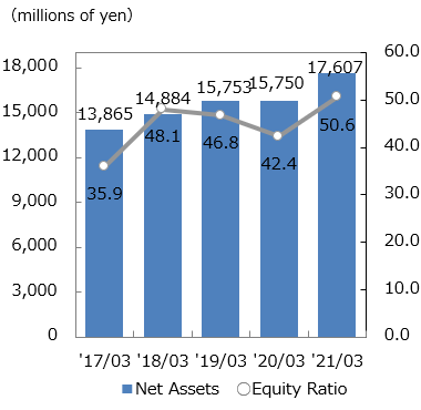 Net Assets, Equity Ratio image