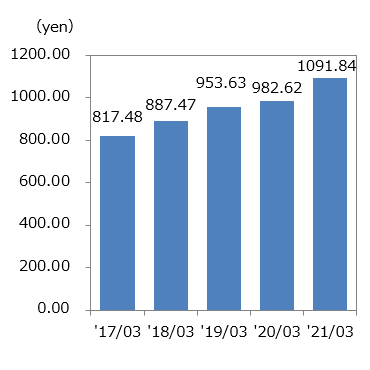 Net Assets per share image