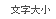 文字大小